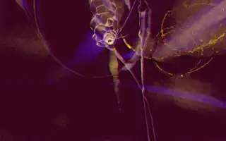Witchcraft 2.0 preset