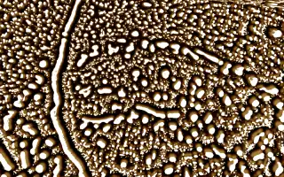 Reaction Diffusion 2 preset